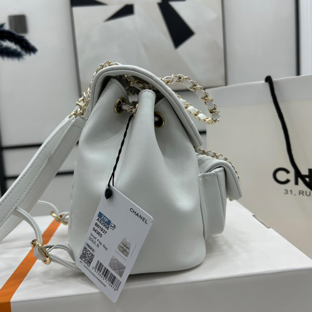 Ch**el 22a mini duma backpack