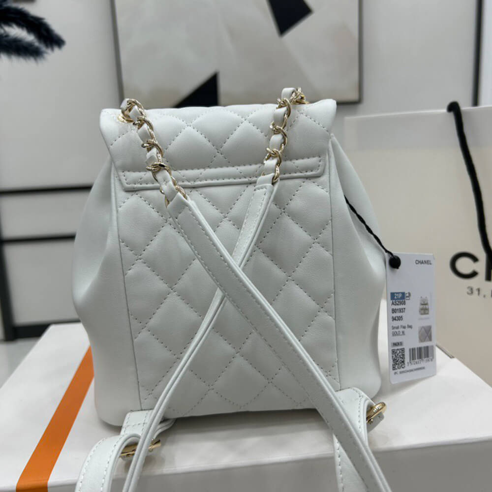 Ch**el 22a mini duma backpack