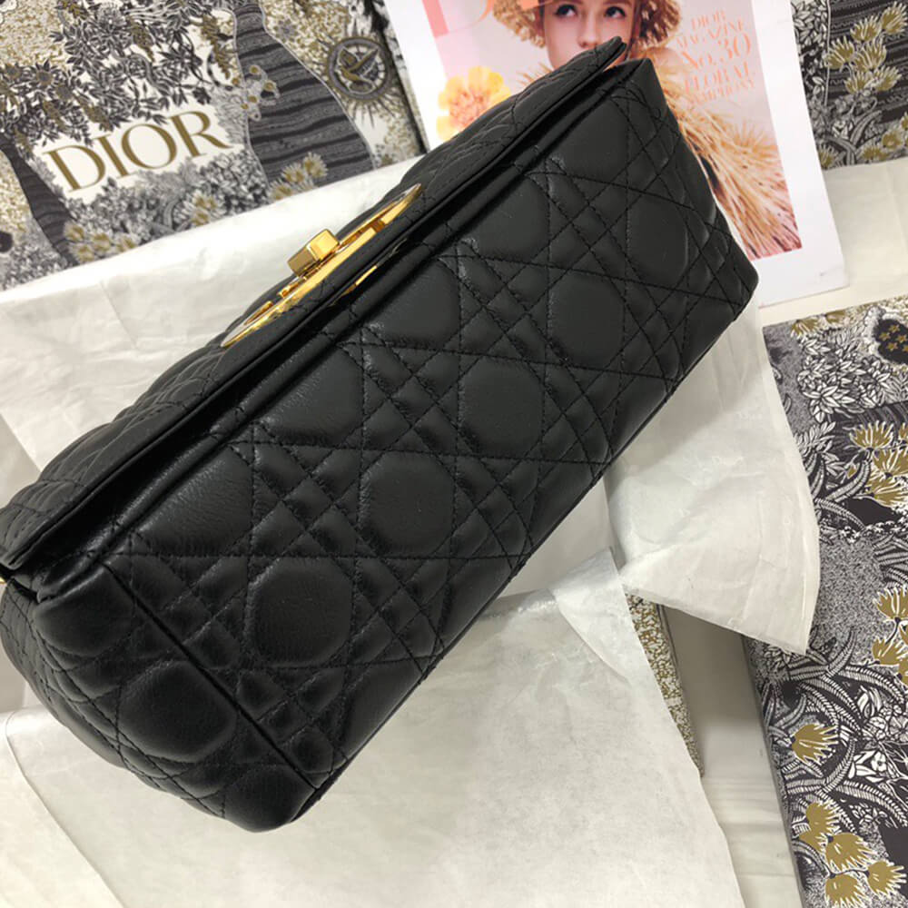 medium D10r caro bag