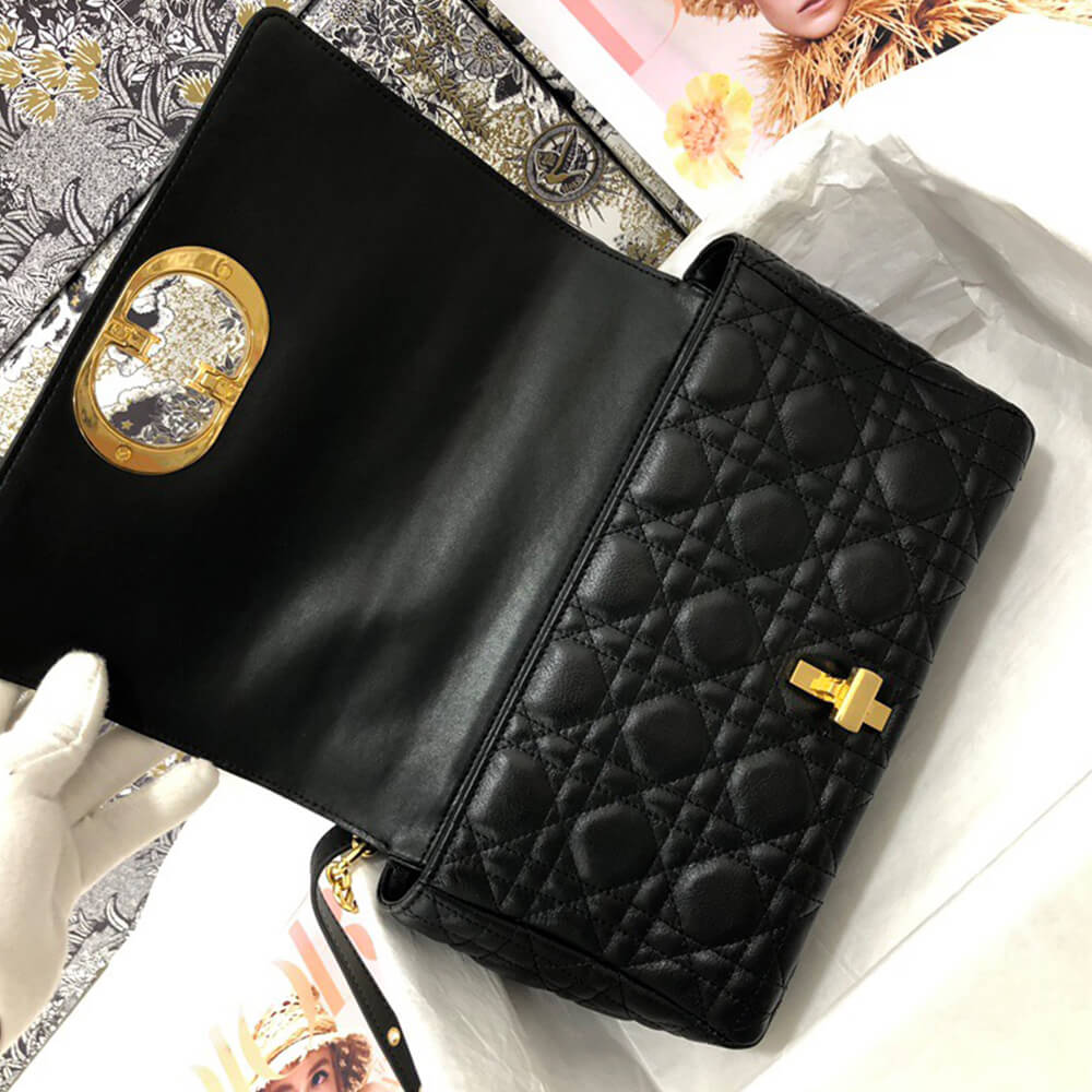 medium D10r caro bag