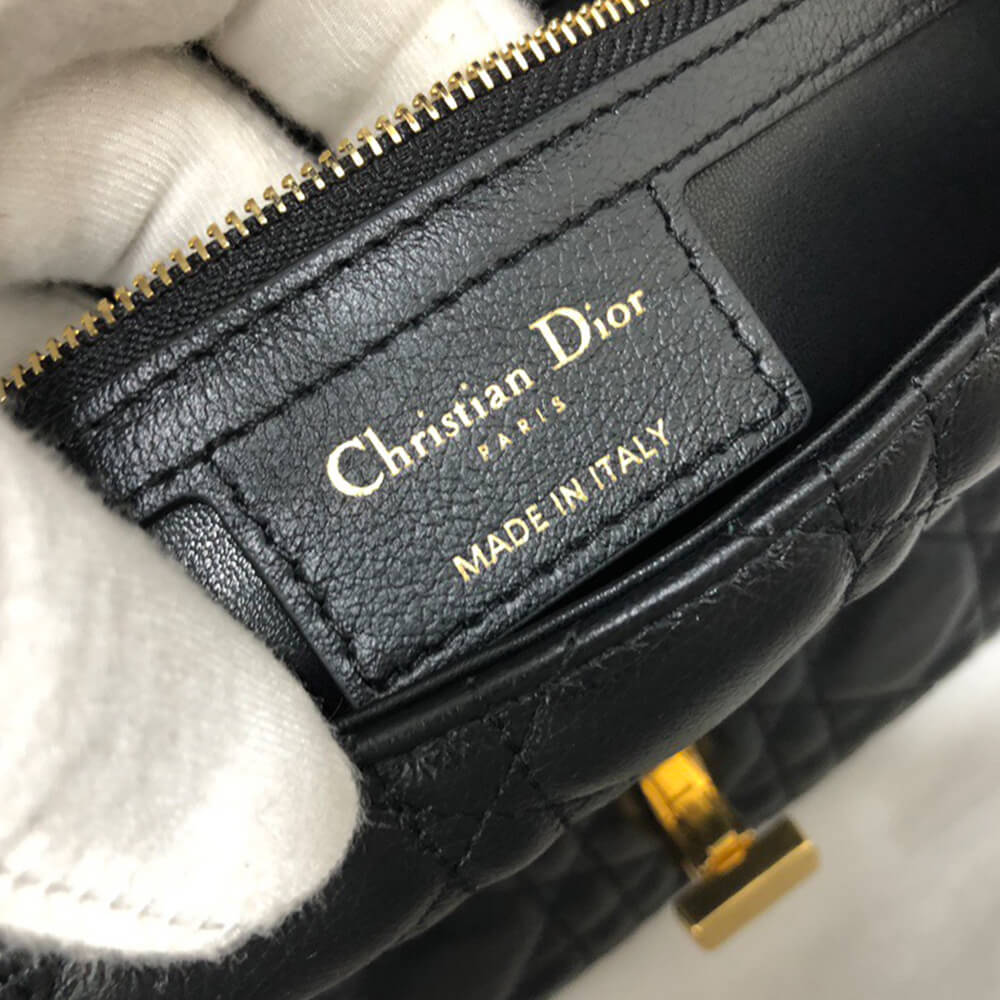 medium D10r caro bag