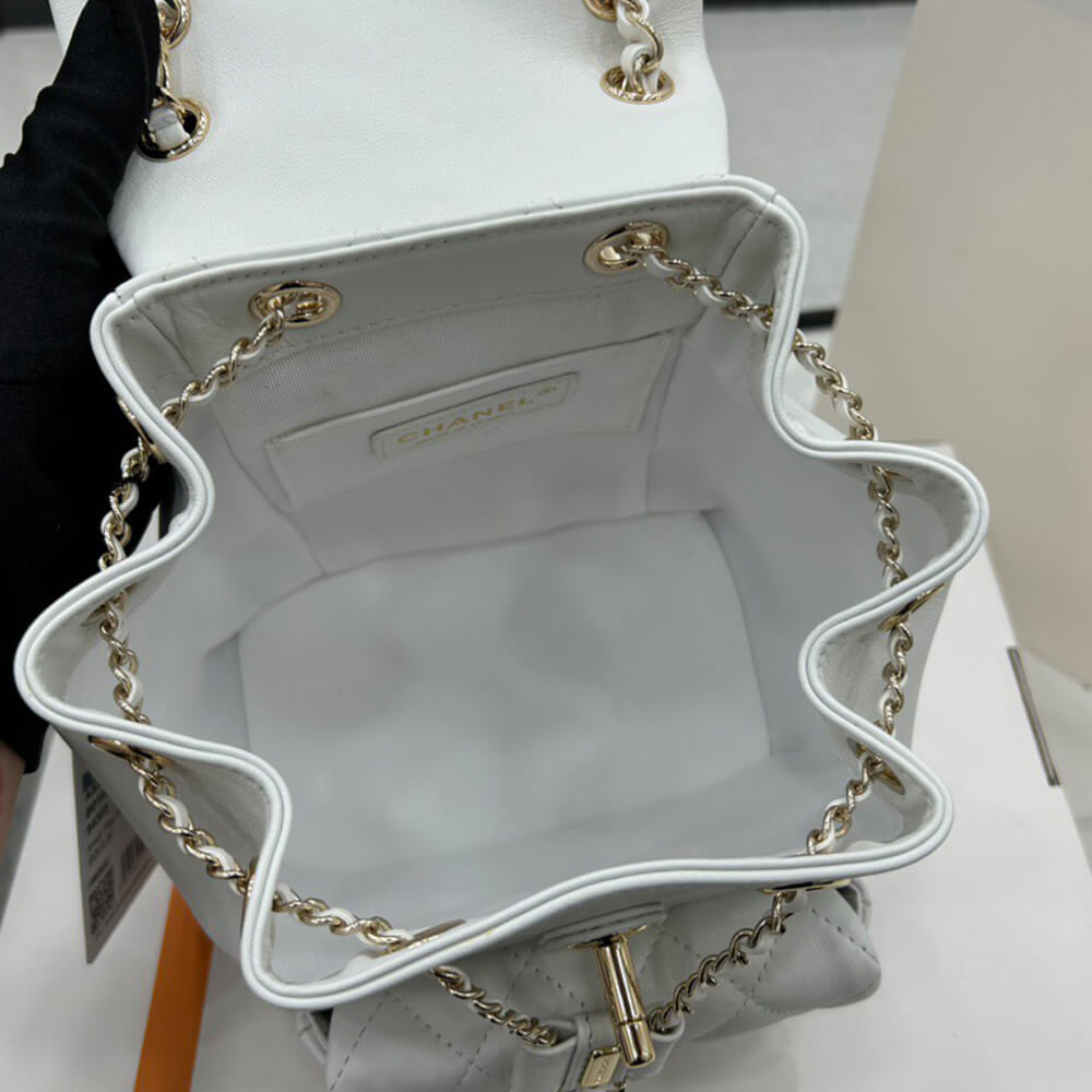 Ch**el 22a mini duma backpack