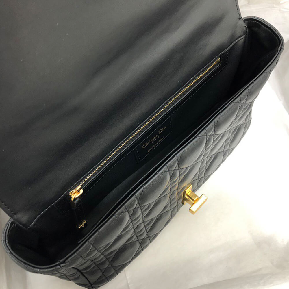 medium D10r caro bag