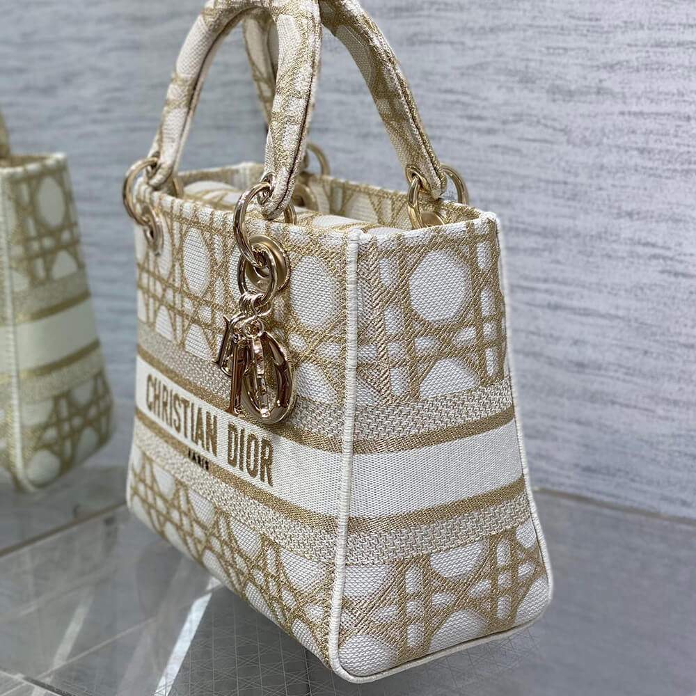 D10r medium lady d-lite bag