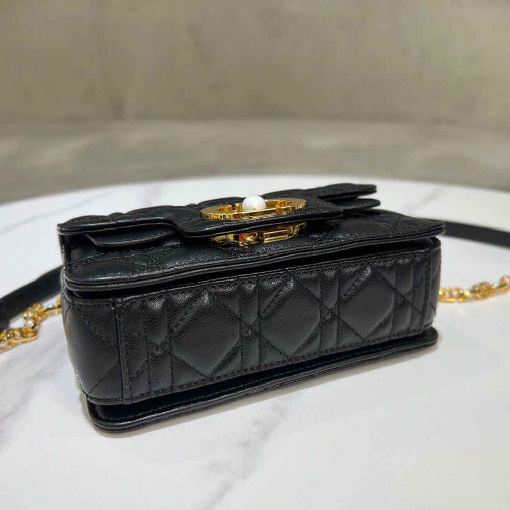 D10r mini D10r jolie top handle bag