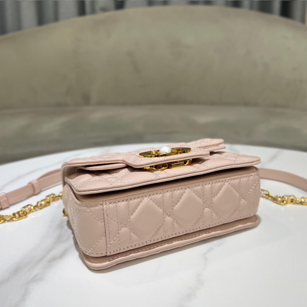D10r mini D10r jolie top handle bag