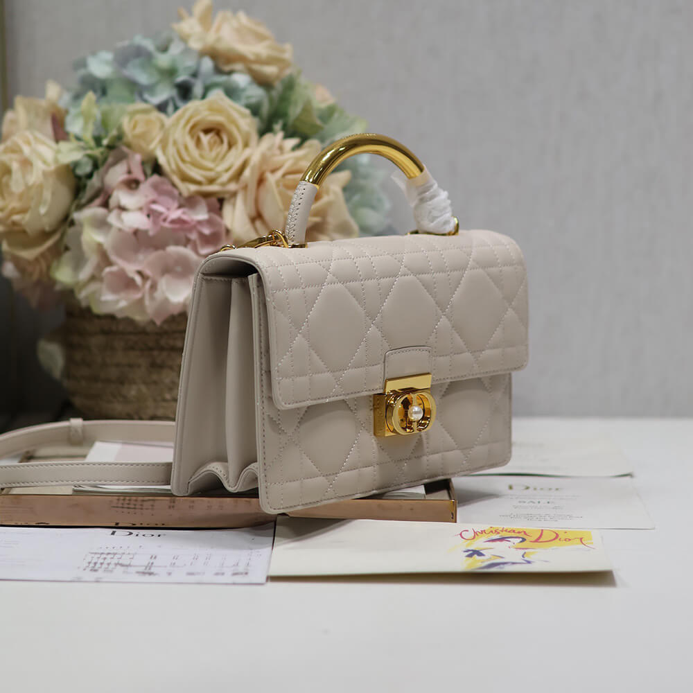 medium D10r ange bag