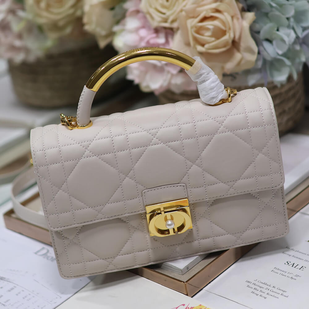 medium D10r ange bag