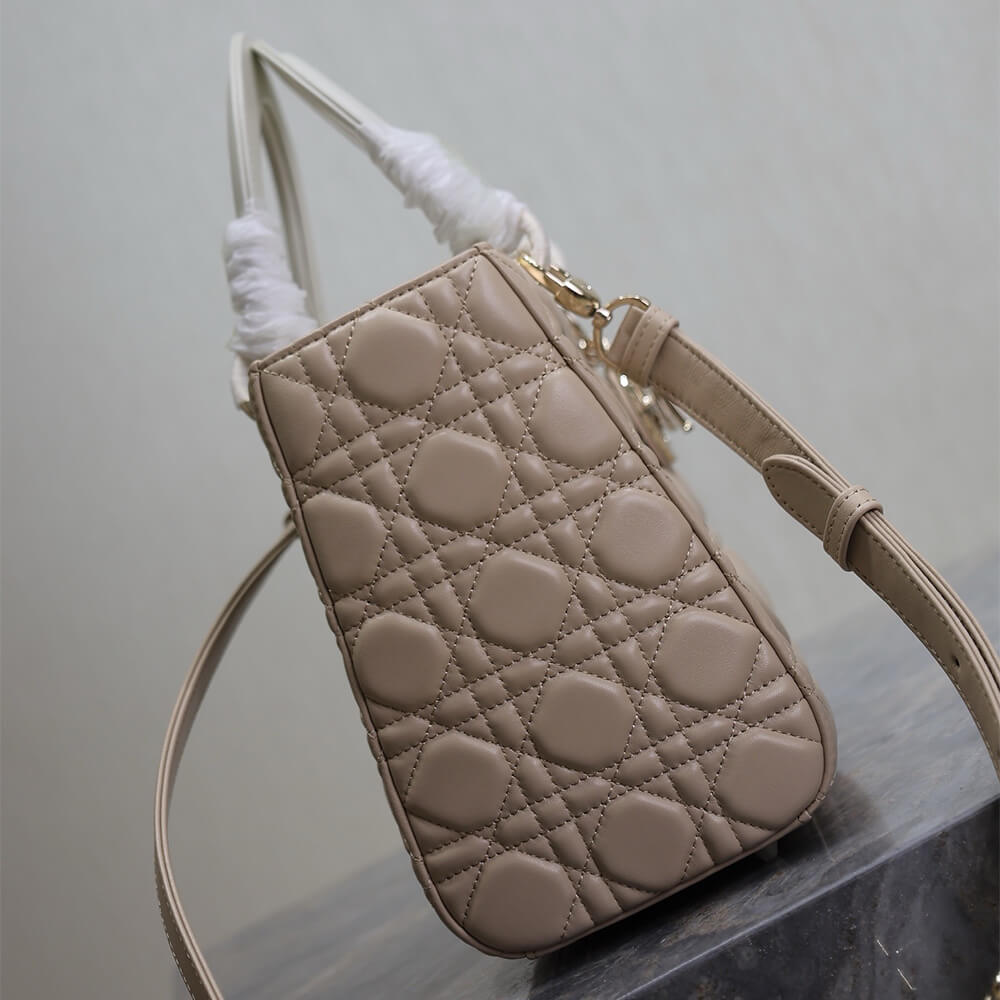 medium lady D10r bag