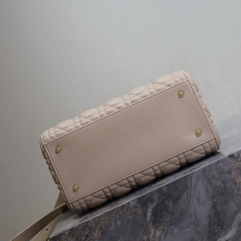 medium lady D10r bag