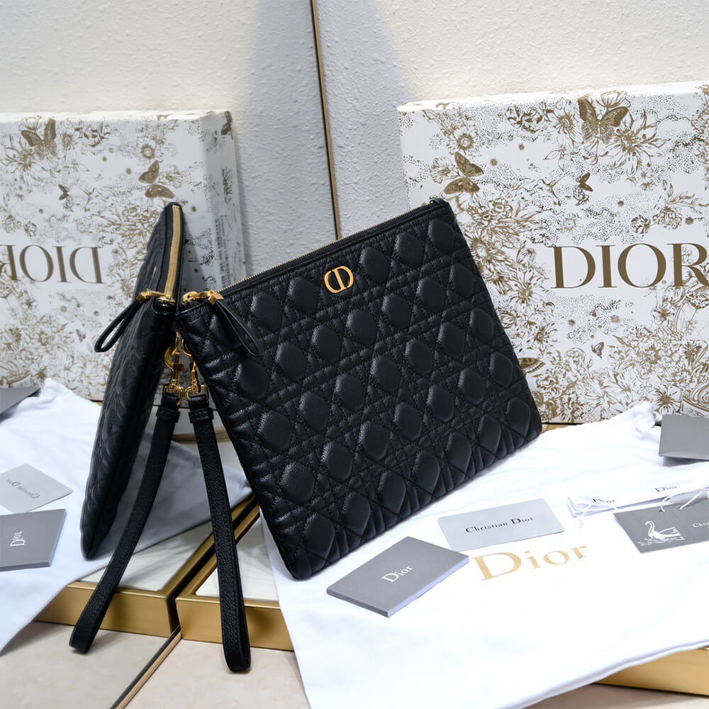 large D10r caro daily pouch(high-end grade)
