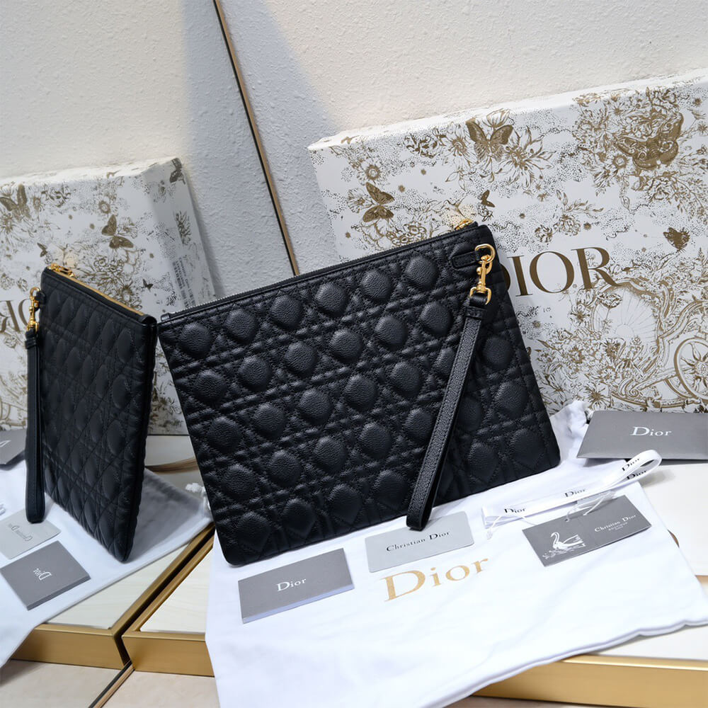 large D10r caro daily pouch(high-end grade)