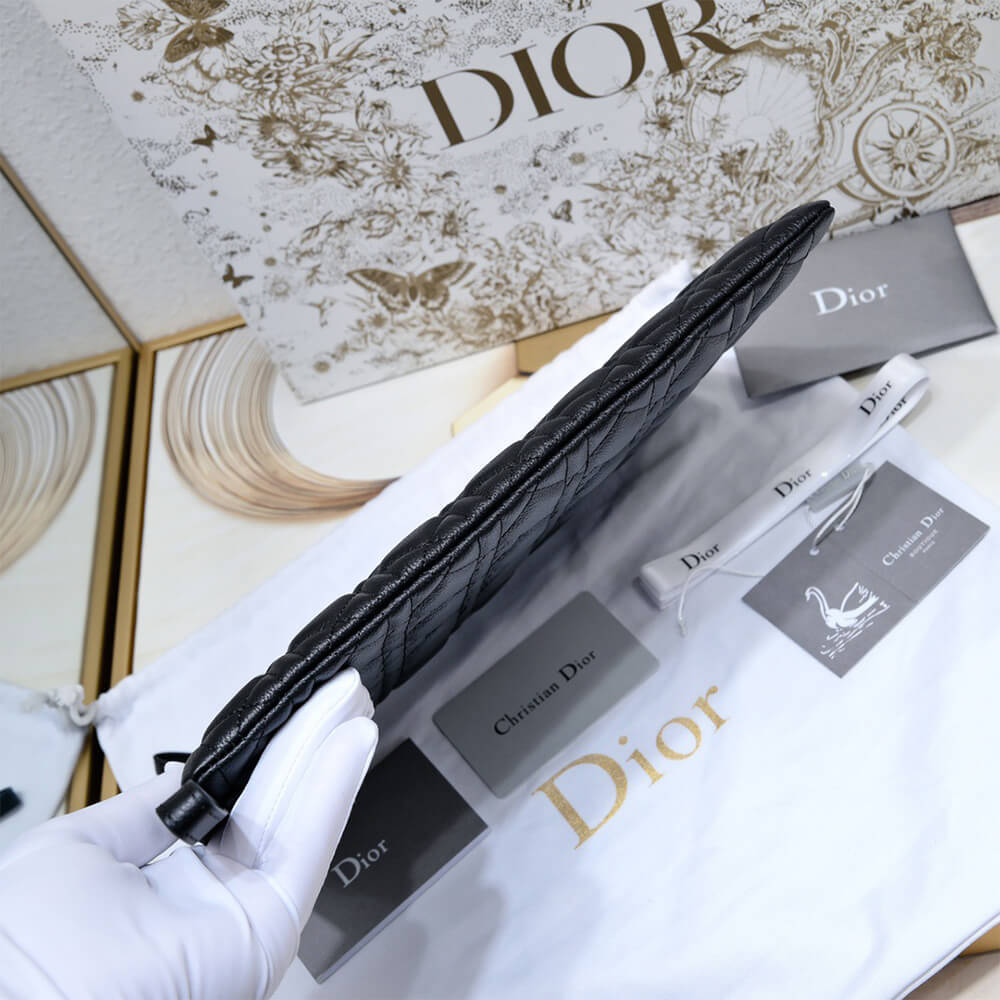 large D10r caro daily pouch(high-end grade)