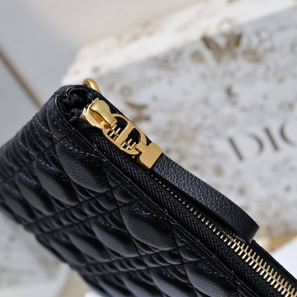 large D10r caro daily pouch(high-end grade)