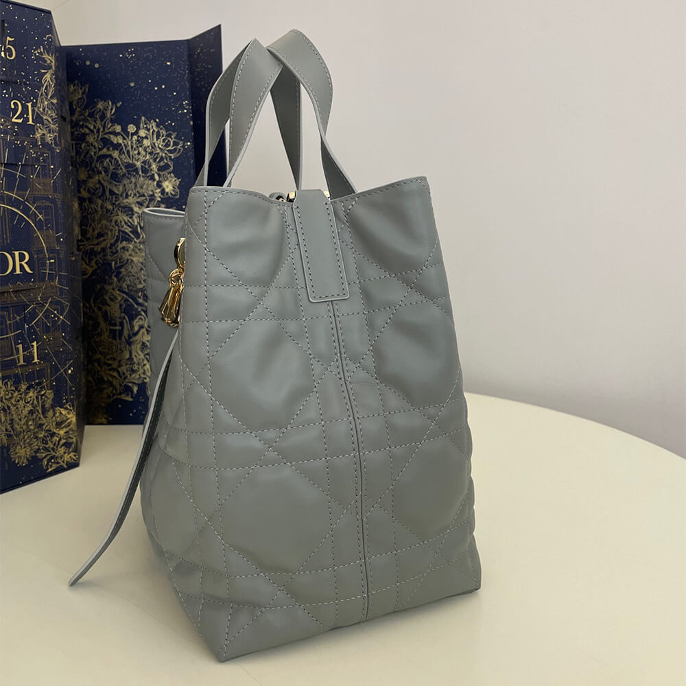 medium D10r toujours vertical tote bag(high-end grade)